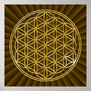 Poster FLOR DA VIDA - ouro