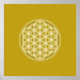 Pôster Flor da vida - ouro & branco