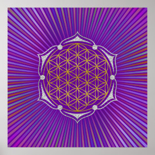 Pôster Flor Da Vida - Ouro De Lotus Prata