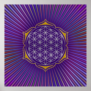 Pôster Flor da Vida - Ouro de prata de Lotus