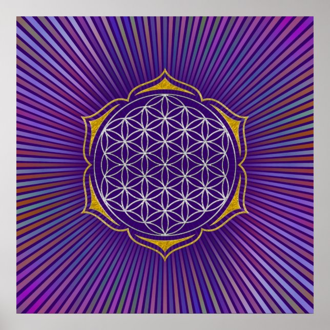 Pôster Flor da Vida - Ouro de prata de Lotus (Frente)
