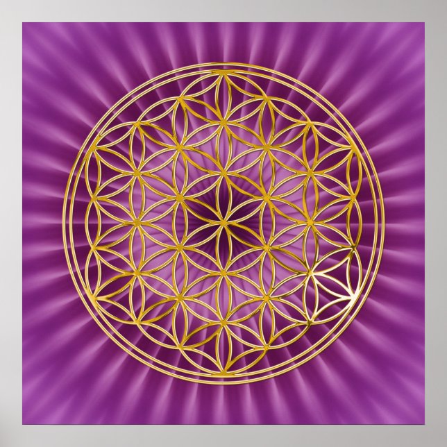 Poster Flor Da Vida | ouro, magenta (Frente)