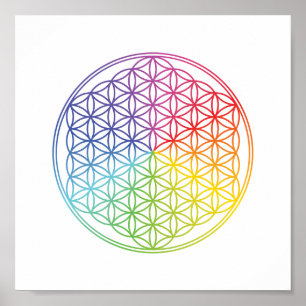 Poster Flor da Vida - padrão geométrico - cor de arco-íri