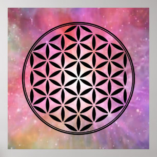 Poster FLOR DA VIDA - Símbolo de Geometria Sagrado cheio 