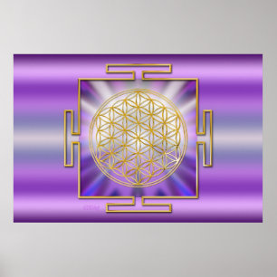 Pôster Flor da vida Yantra