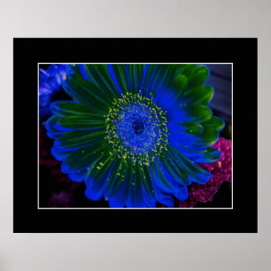 Pôster Flor Dahlia Blue Abstrato
