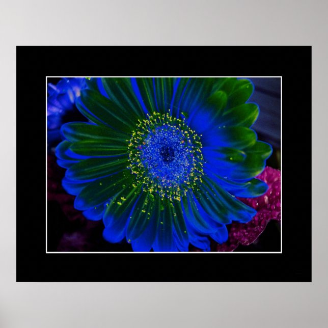 Pôster Flor Dahlia Blue Abstrato (Frente)