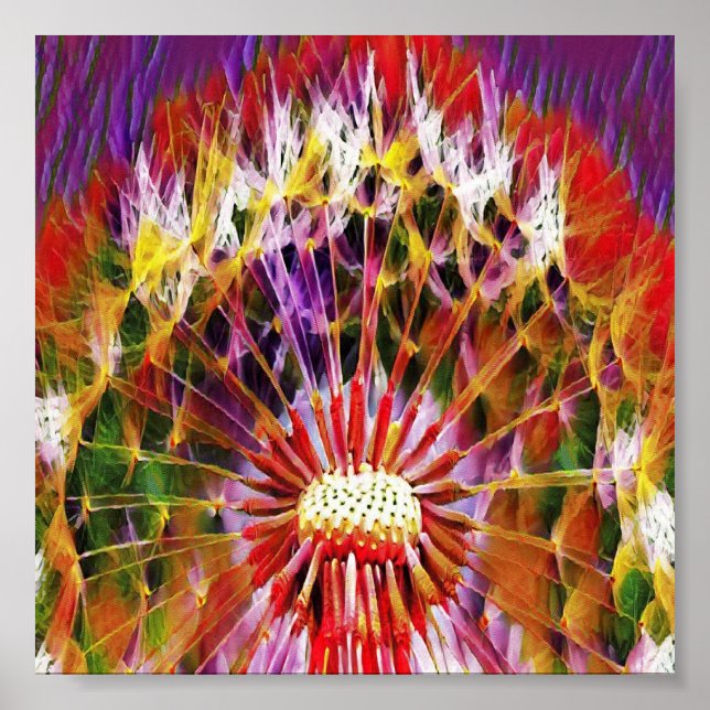 Poster Flor dandelion colorida (Frente)