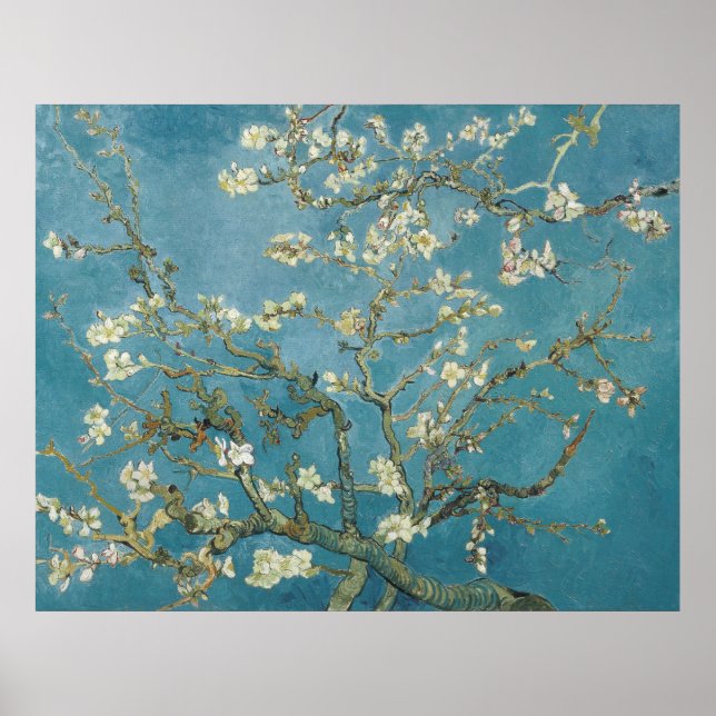 Poster Flor de Amêndoa de Van Gogh (Frente)