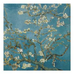 Pôster Flor de amêndoa de Vincent van Gogh (1890)