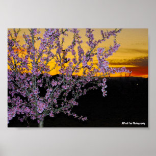 Poster Flor de Amêndoa Rosa no Céu Amarelo