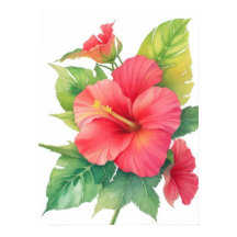 Flor de Aquarela Rosa Hibiscus