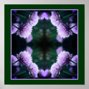 Poster Flor de Cebola de Escalhão Roxo Fechar Abstrato