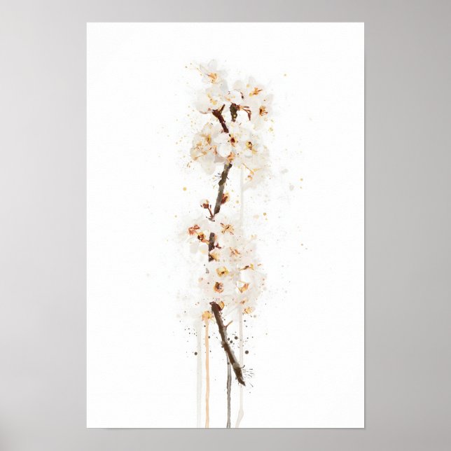 Poster Flor de Cerejeira Branca (Frente)