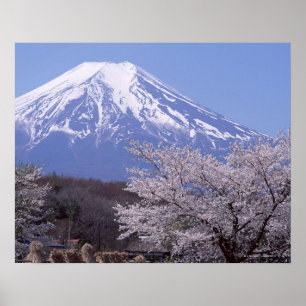 Poster Flor de cerejeira e Monte Fuji