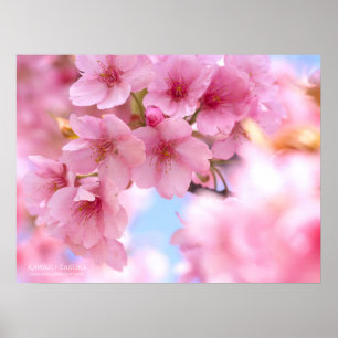 Poster Flor de cerejeira"Kawazu-zakura":Poster