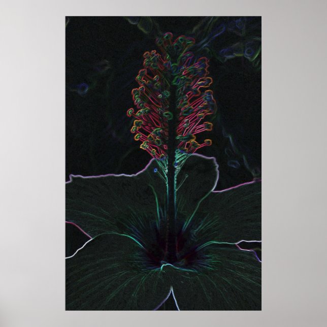 Poster flor de cor veludo (Frente)
