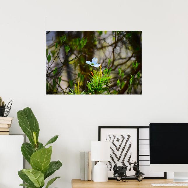 Poster Flor de Dogwood, (Escritório em casa)