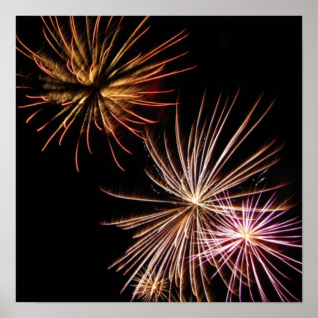 Pôster Flor de Fogo (Frente)