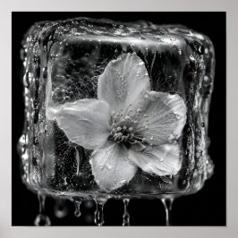 Poster Flor de Gelo Derretendo