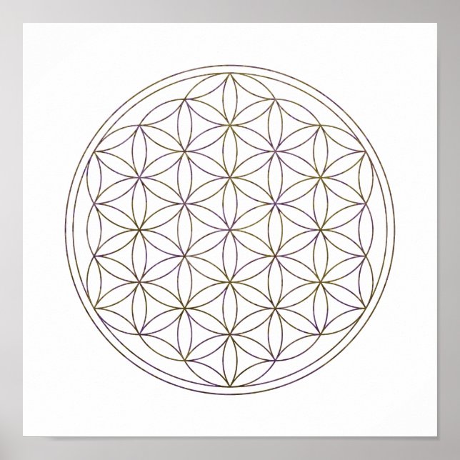 Poster Flor De Geometria Sagrada Da Vida (Frente)