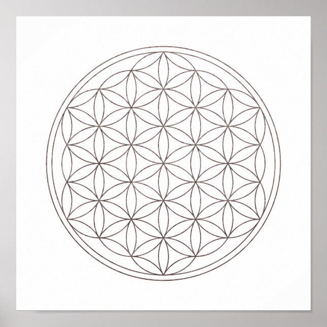 Poster Flor De Geometria Sagrada Da Vida (Fumaça V) (Frente)