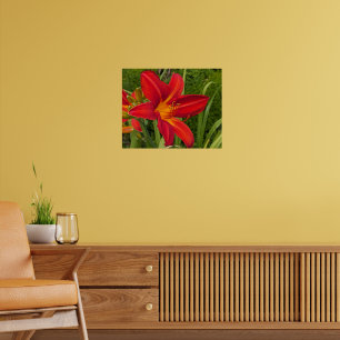 Poster Flor de Hemerocalis Laranja