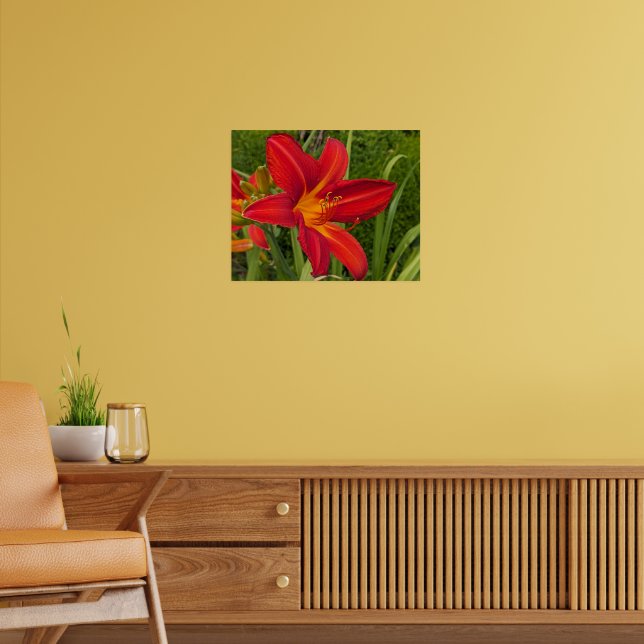 Poster Flor de Hemerocalis Laranja (Sala de Estar 2)