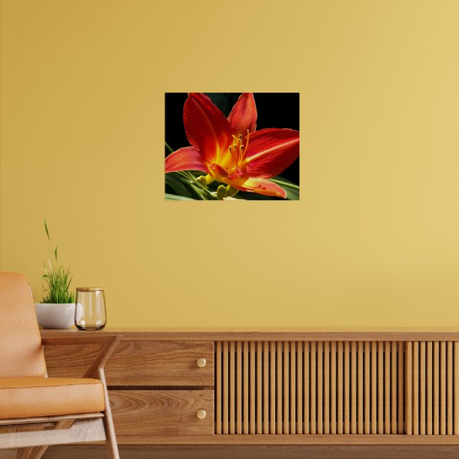 Poster Flor de Hemerocalis Laranja Fotografia (Sala de Estar 2)