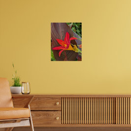 Poster Flor de Hemerocallis Laranja e Folha da Planta