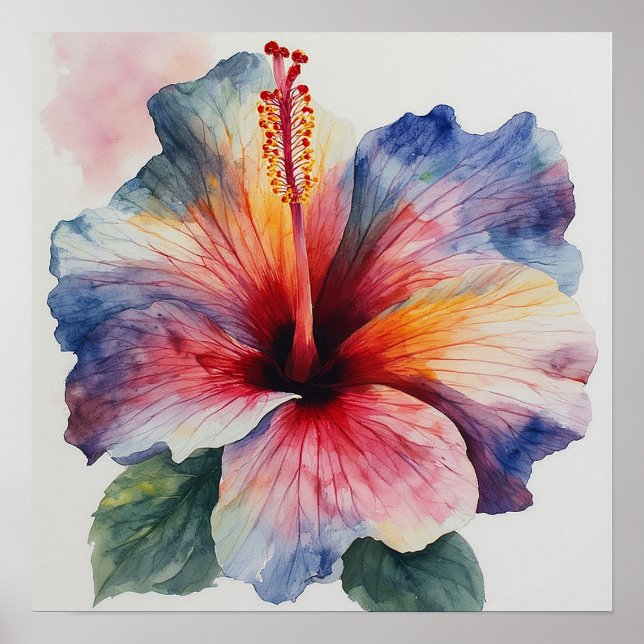 Poster Flor de Hibisco (Frente)