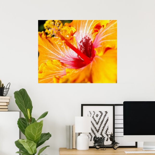 Poster Flor de Hibisco Laranja Vista Lateral 30x24 (Escritório em casa)
