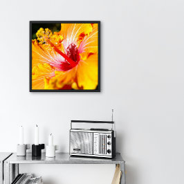 Poster Flor de Hibisco Laranja Vista Lateral Pequena