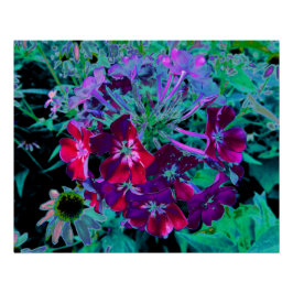 Pôster Flor de Jardim Dramática Vermelha, Roxa e Rosa