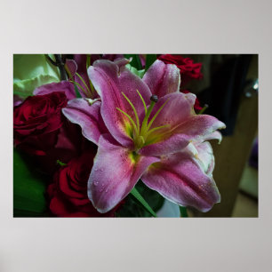 POSTER FLOR DE LÍRIO ROSA