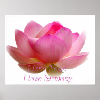 Poster Flor de Lotus