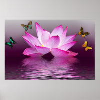 Flor de lótus rosa-verão e borboletas coloridas