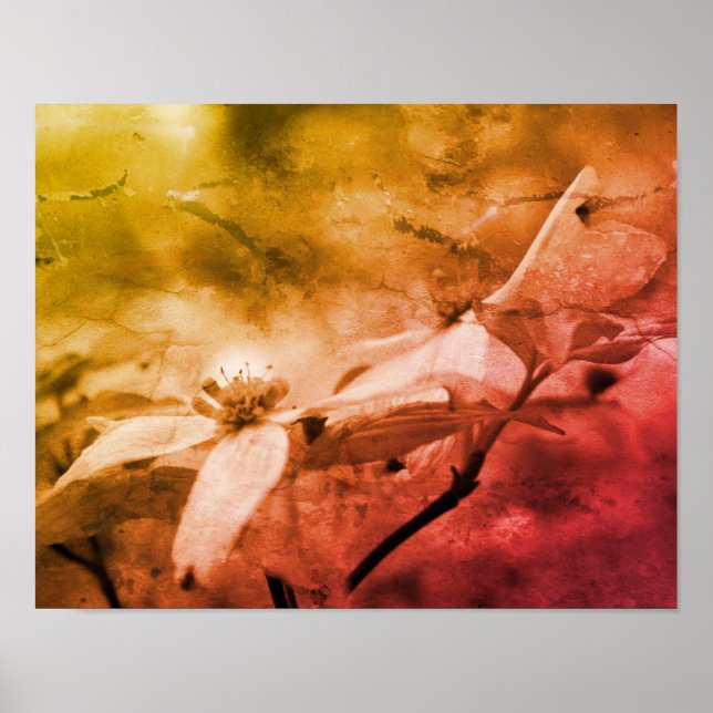 Poster Flor De Madeira Preta E Branca (Frente)