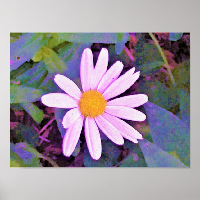 Poster Flor de margarida rosa (Frente)