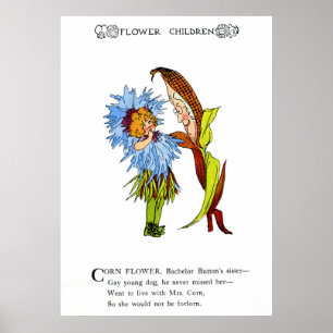 Poster Flor de milho