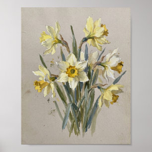 Poster Flor de Nascimento de Março Daffodil I