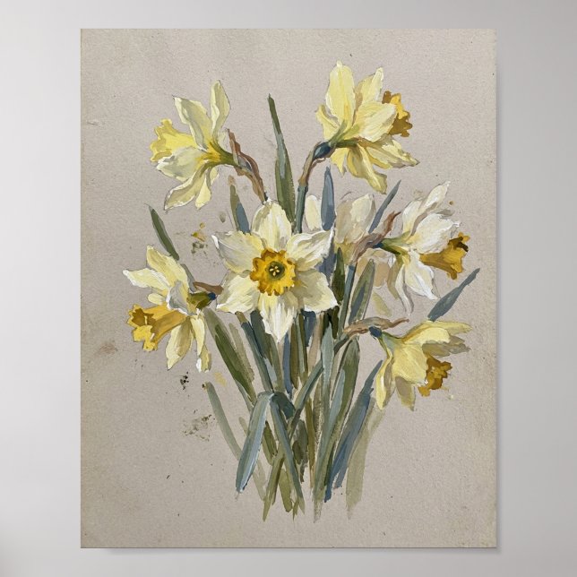 Poster Flor de Nascimento de Março Daffodil I (Frente)