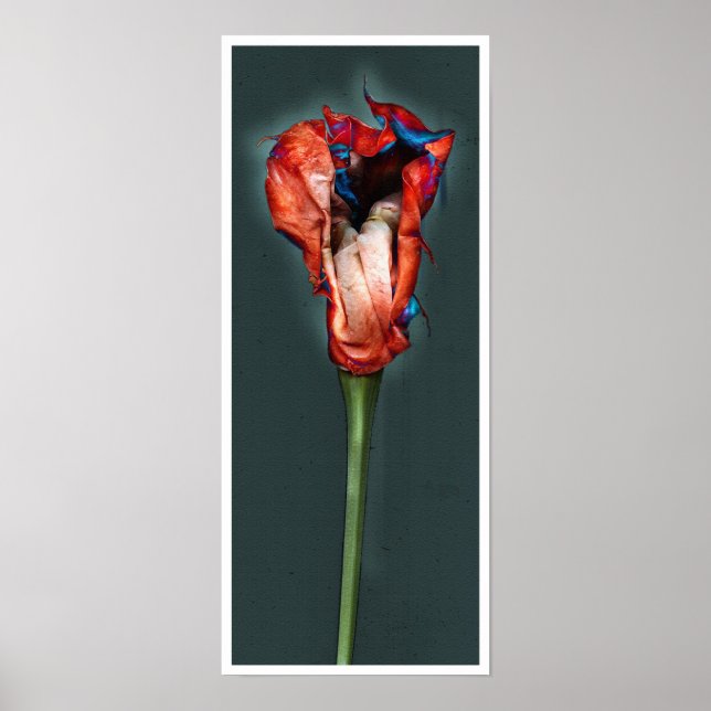 Poster Flor de Paixão #5 (Frente)