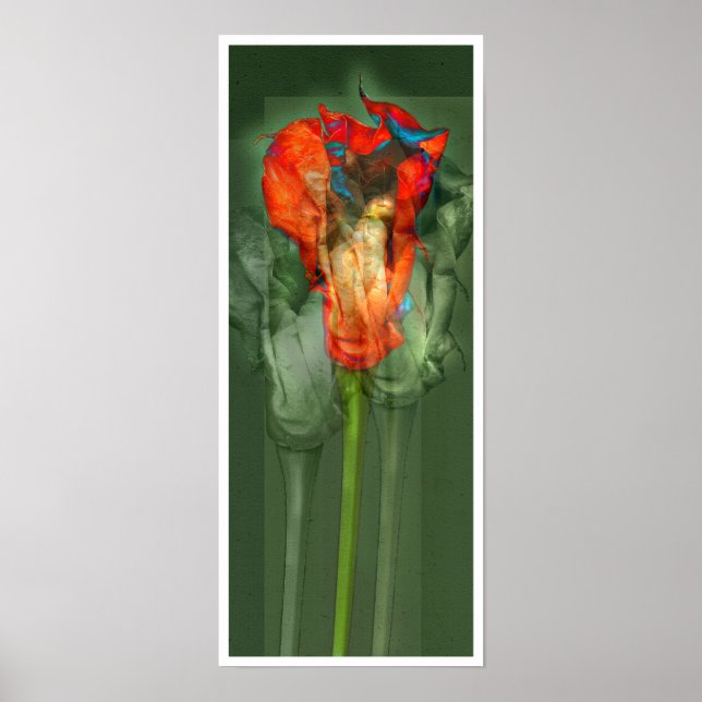 Pôster Flor de Paixão #6 (Frente)