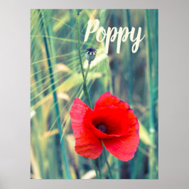 Poster Flor de papoila para jardineiros e presente de ama