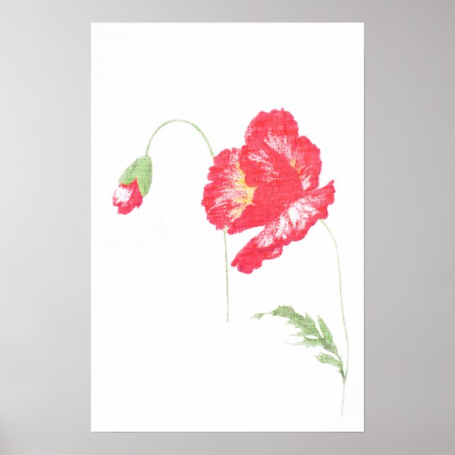 Pôster Flor de papoila selvagem (Frente)
