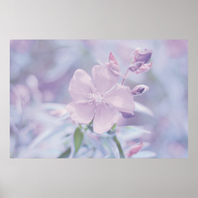Poster Flor de Pastel (Frente)