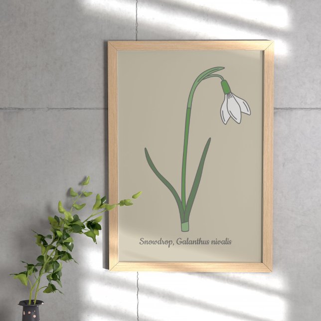 Poster Flor de Pastel de Neve Botânica (Botanical Snowdrop Poster)