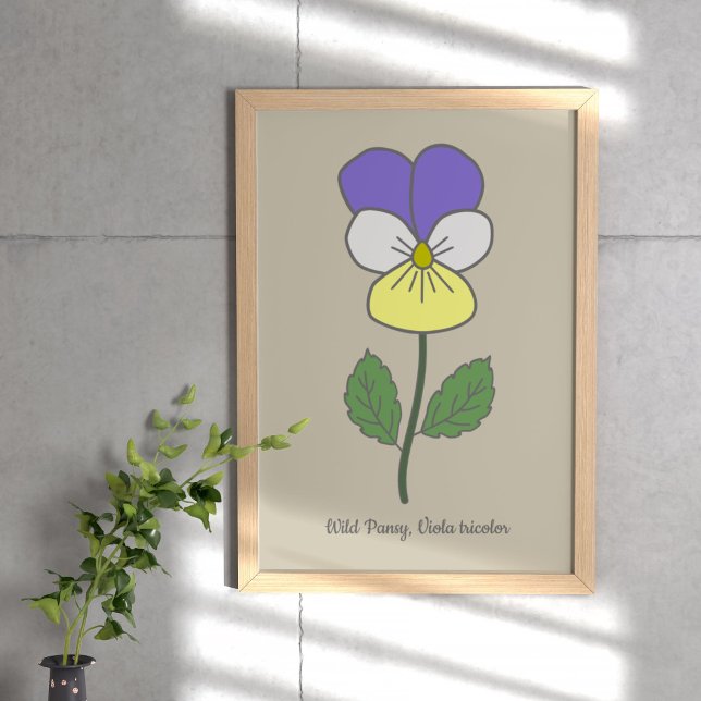 Poster Flor de Pastel Selvagem Botânica (Botanical Wild Pansy Poster)