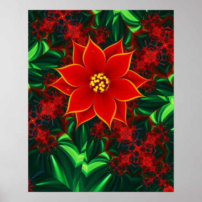 Poster Flor de Poinsettia (Frente)